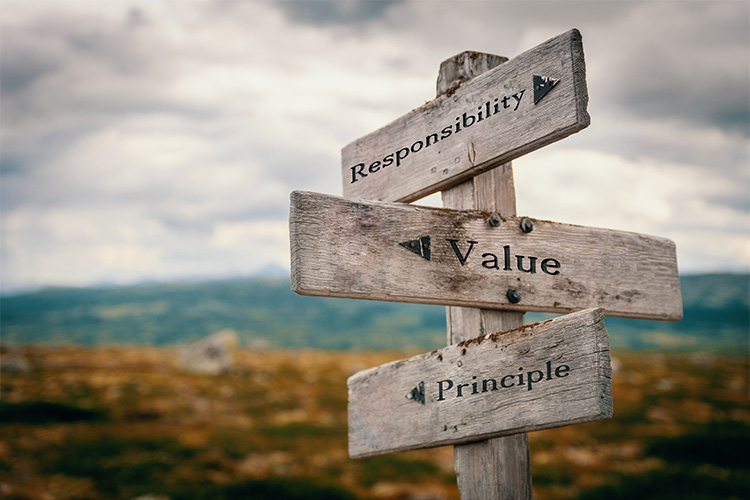 Quinnox Solutions - Our Values